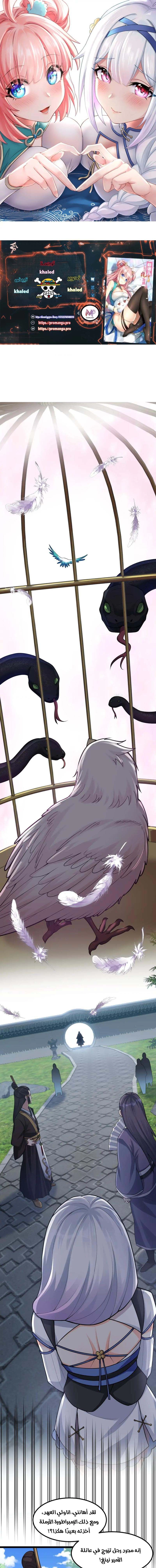 Chapter Image 1