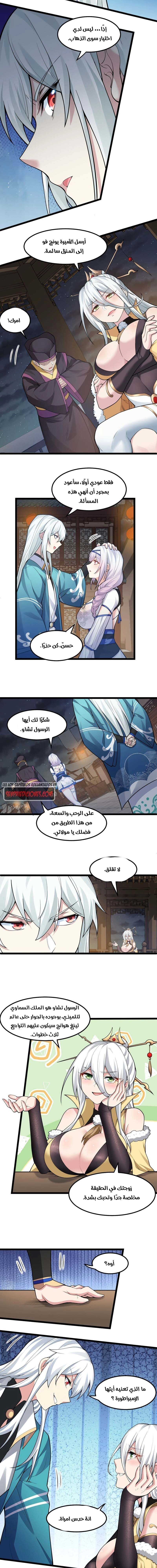Chapter Image 2
