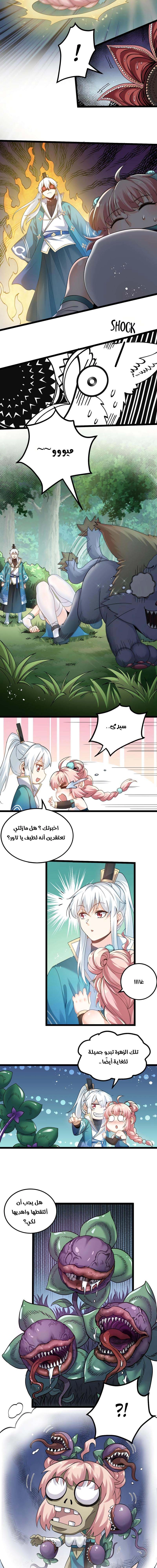 Chapter Image 4