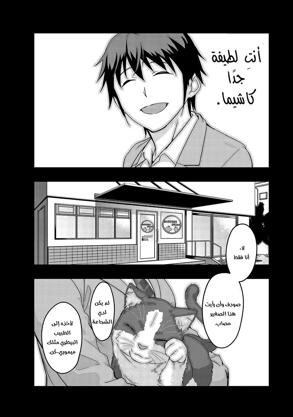 Chapter Image 4