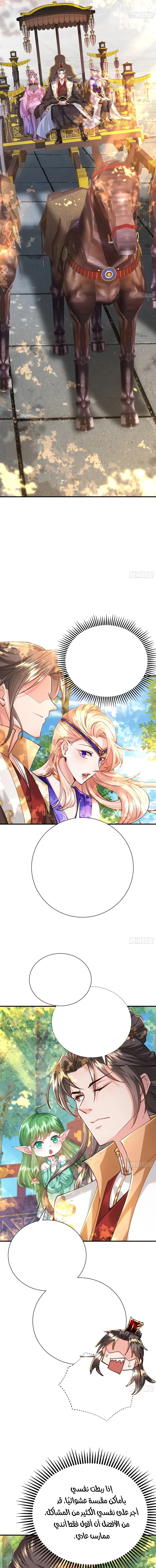 Chapter Image 13