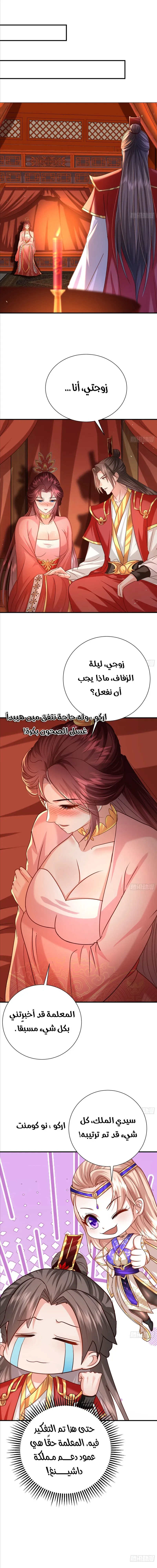 Chapter Image 13