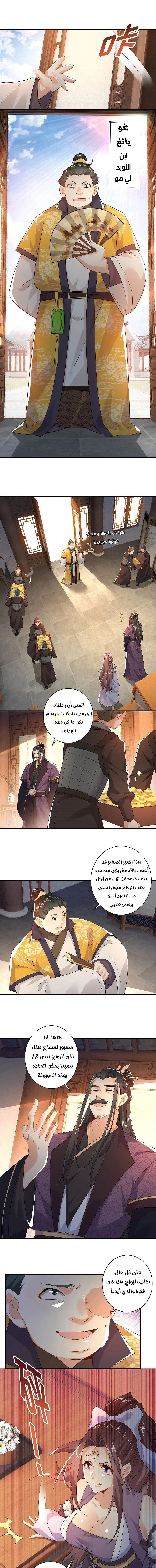 Chapter Image 5