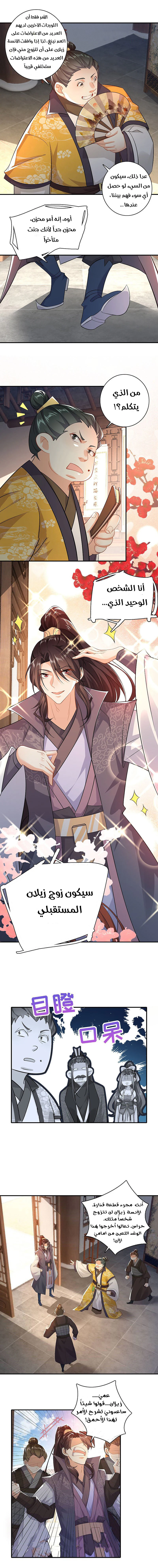 Chapter Image 7