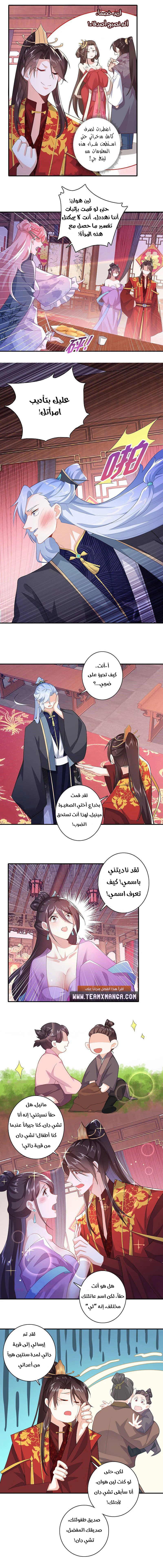 Chapter Image 5