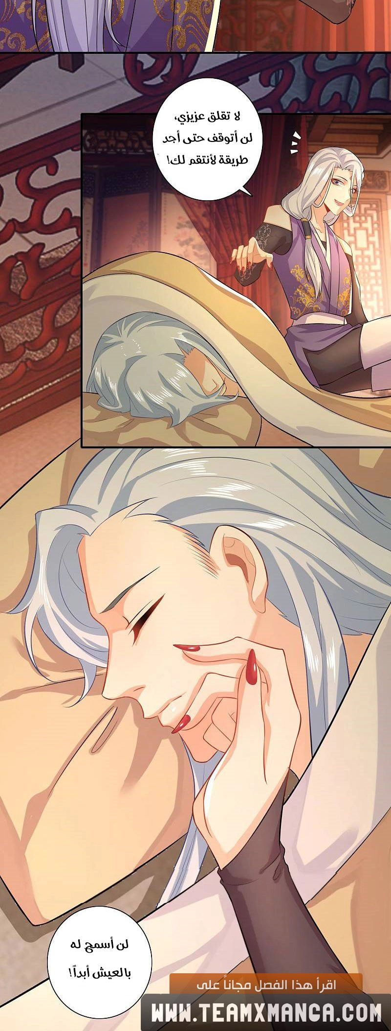 Chapter Image 7