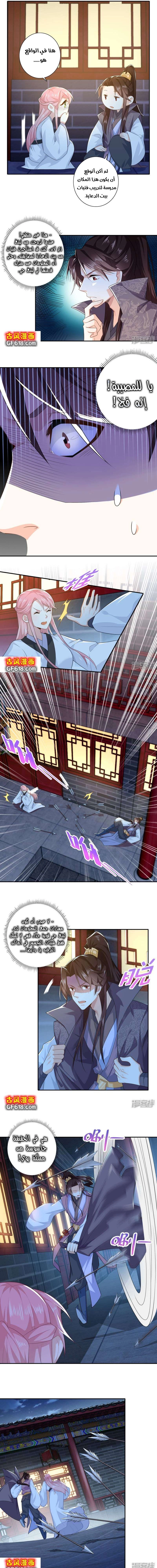 Chapter Image 4