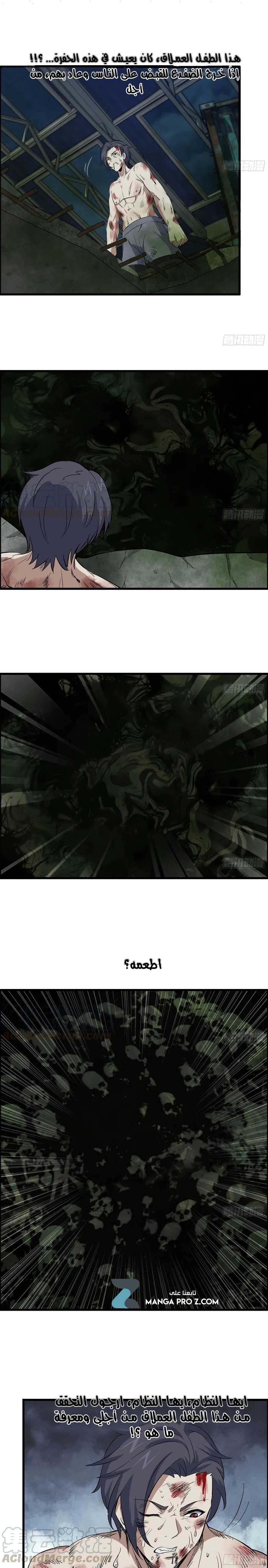 Chapter Image 4