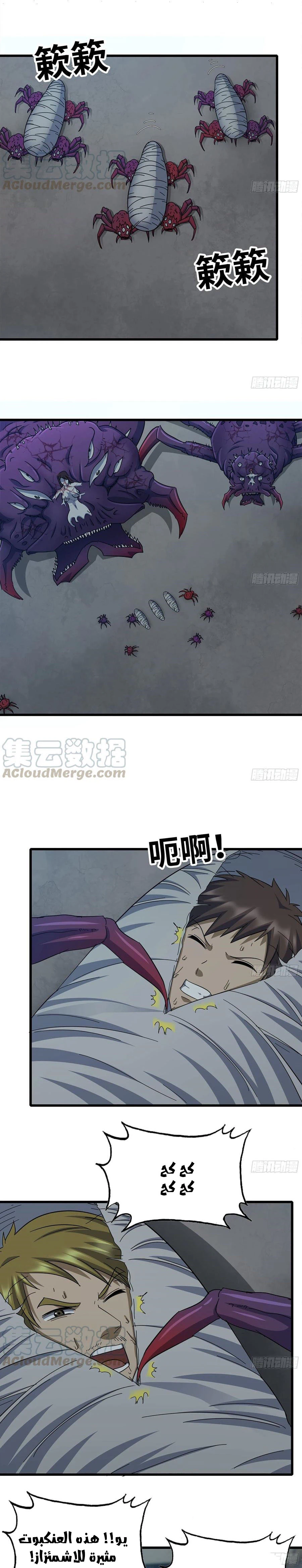 Chapter Image 2