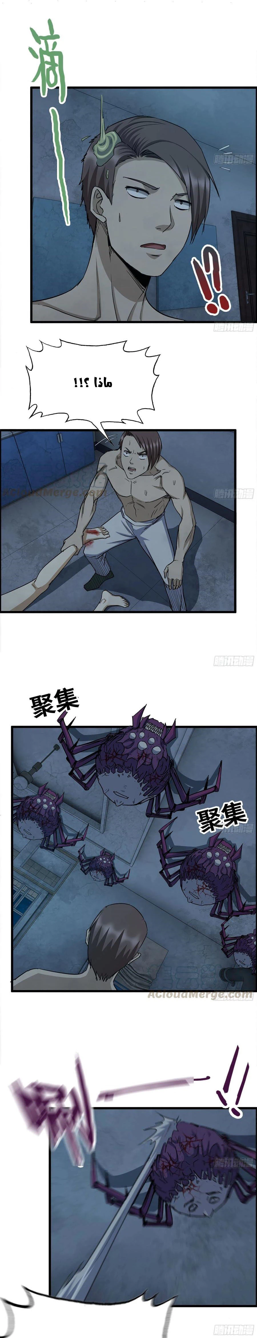 Chapter Image 7