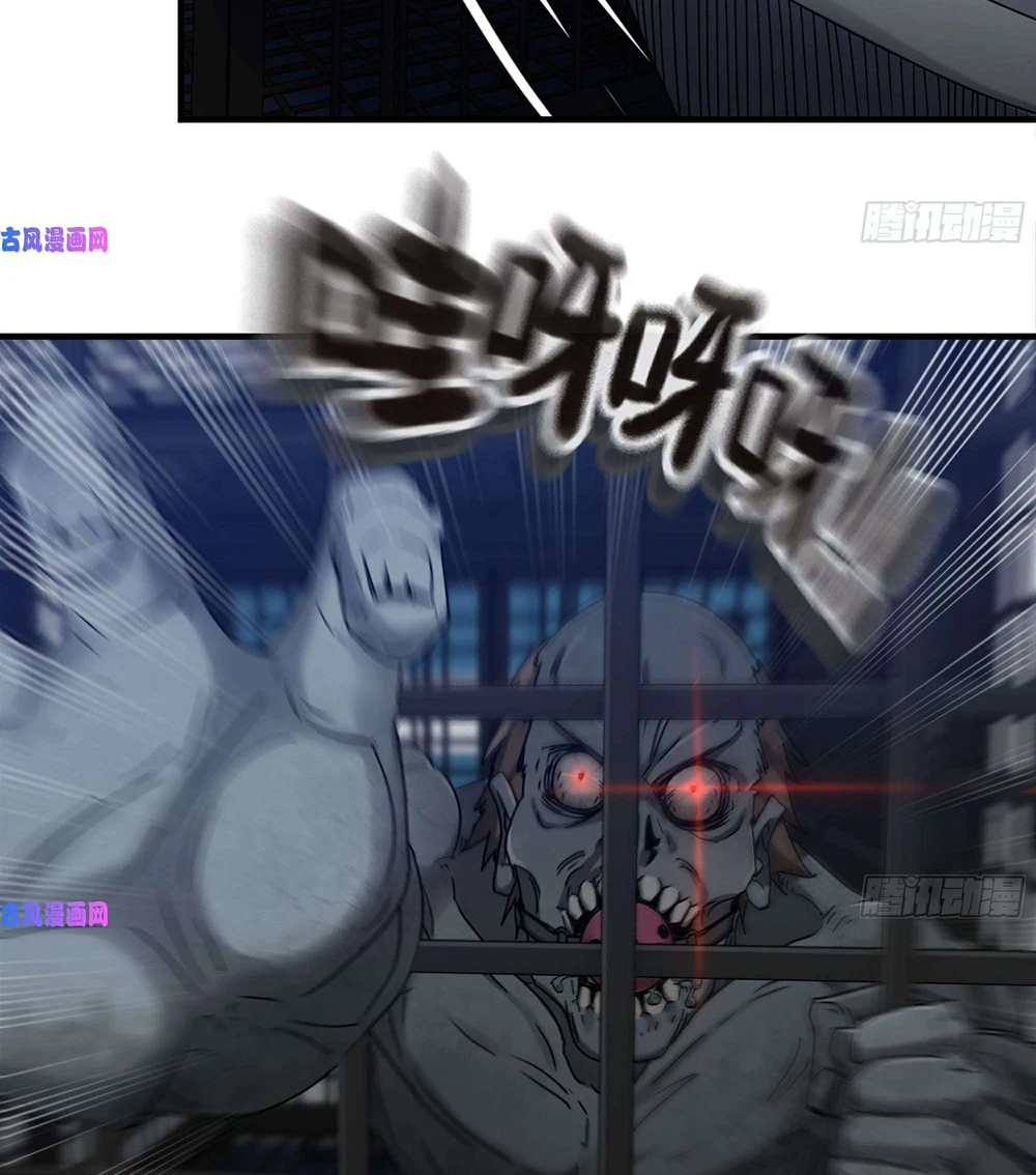 Chapter Image 4