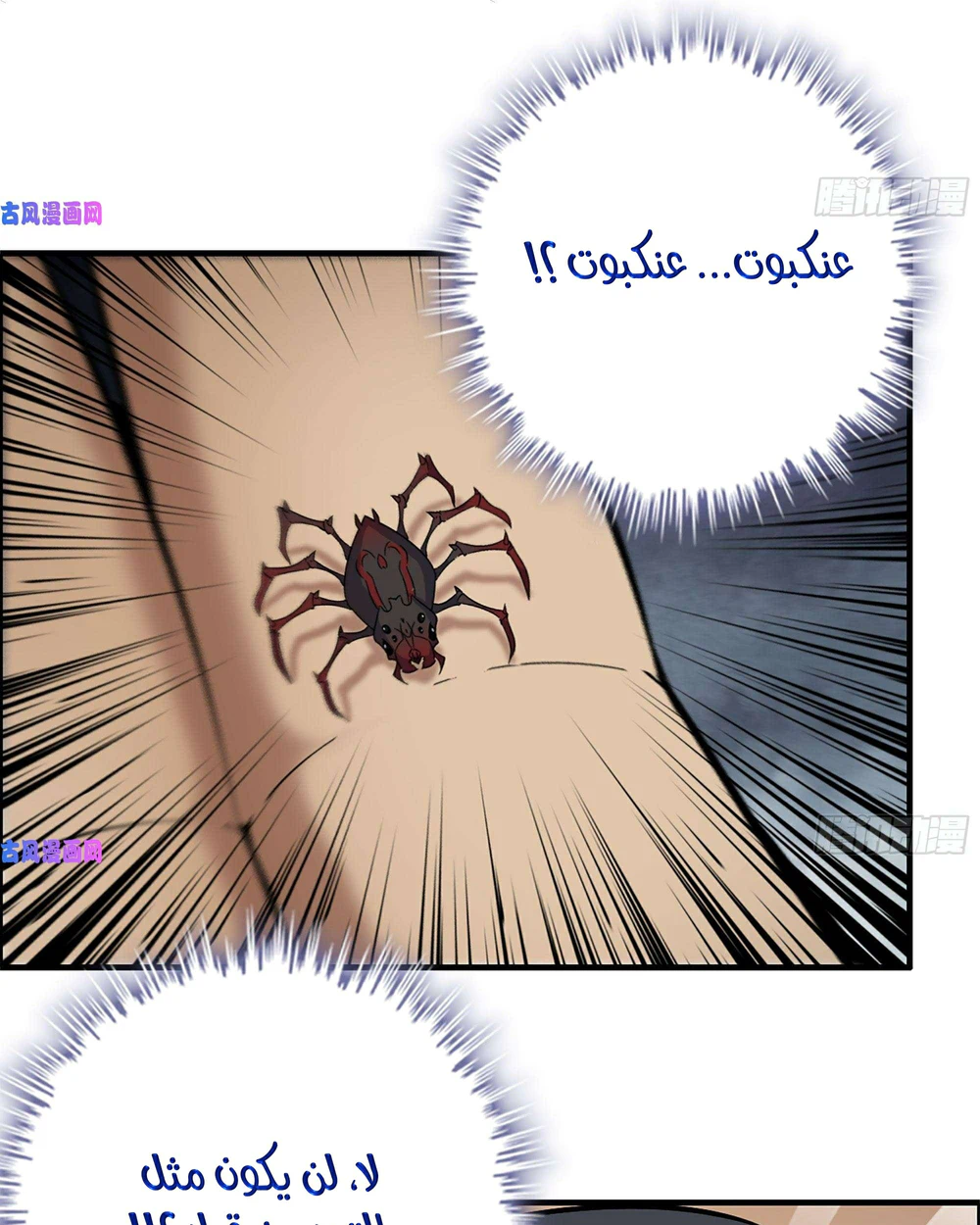 Chapter Image 5