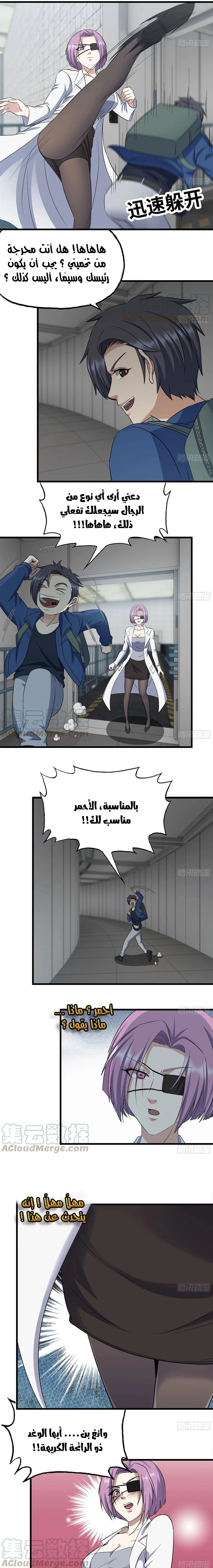 Chapter Image 5