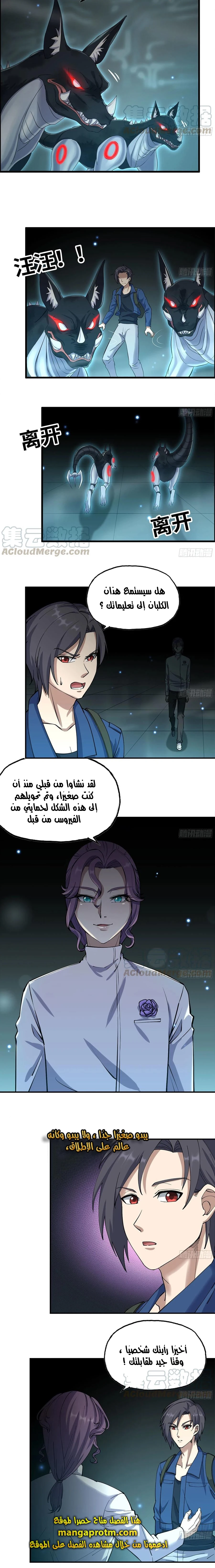 Chapter Image 4