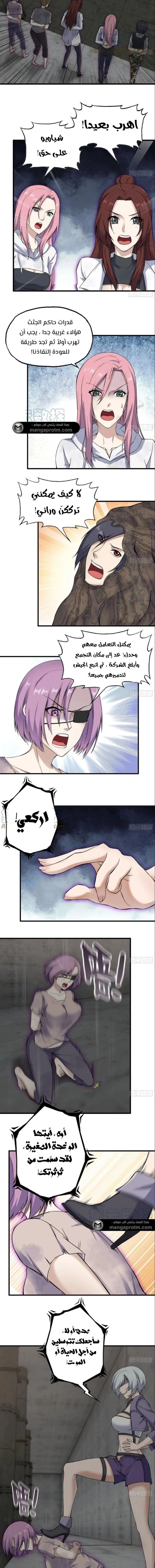 Chapter Image 5