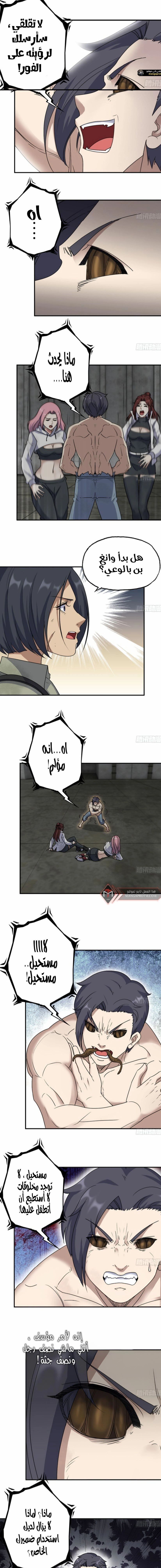 Chapter Image 5