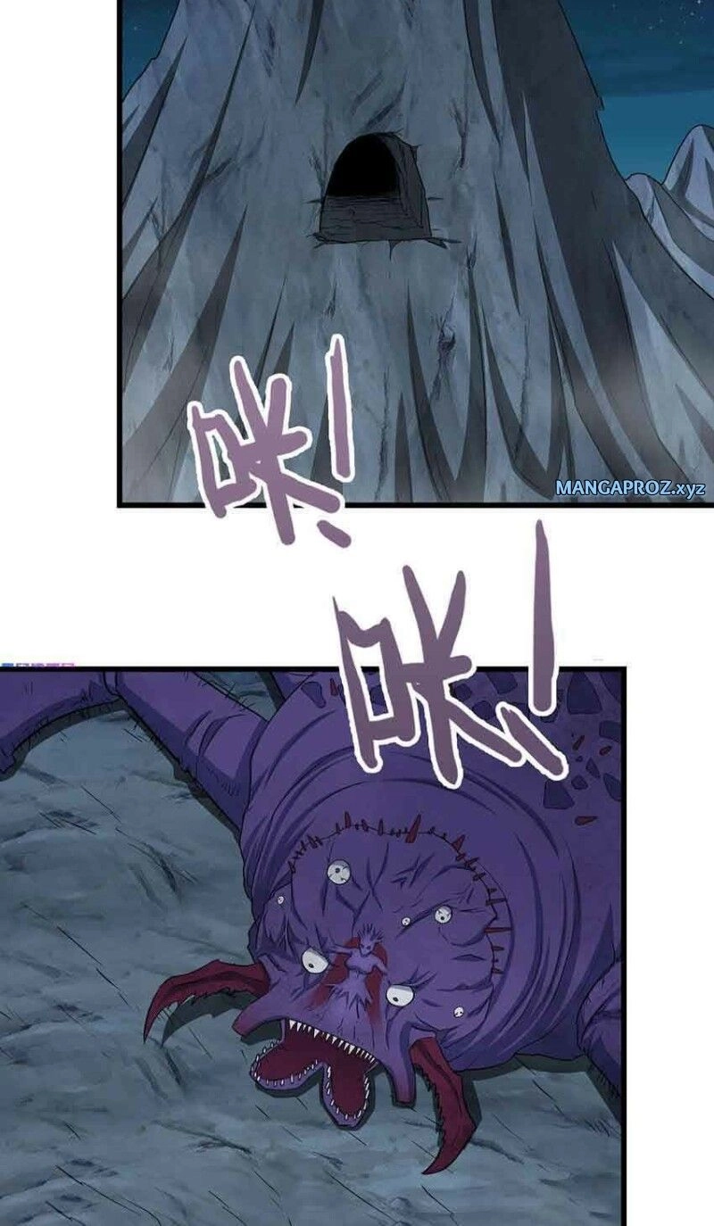 Chapter Image 4