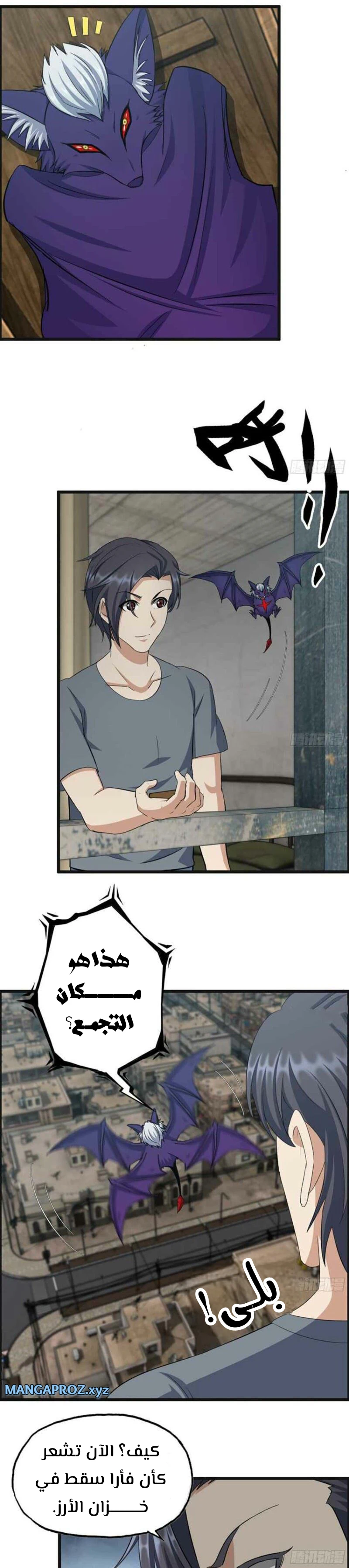 Chapter Image 7
