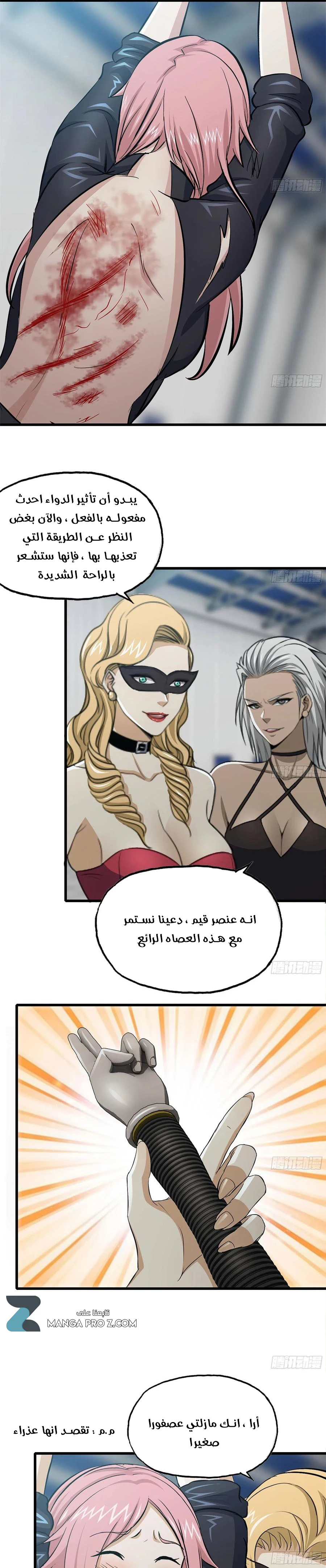 Chapter Image 5