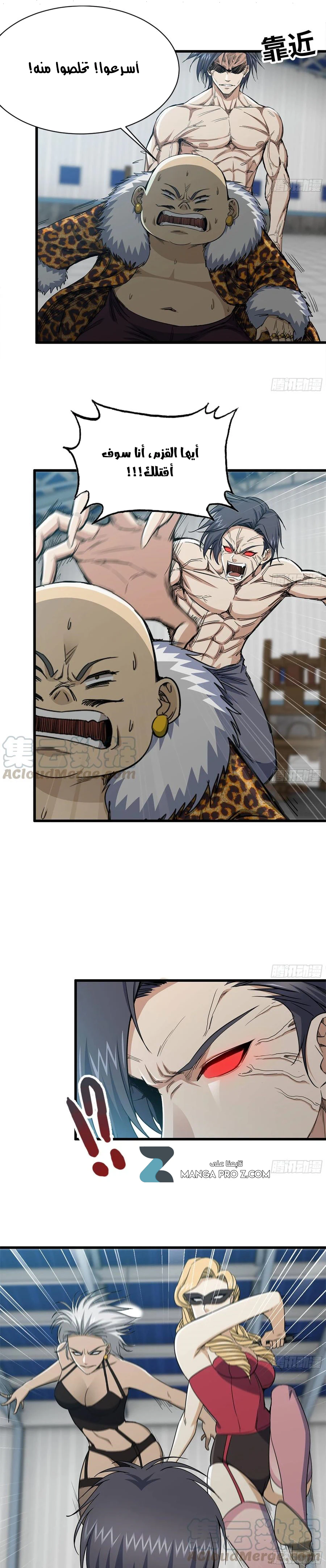 Chapter Image 4