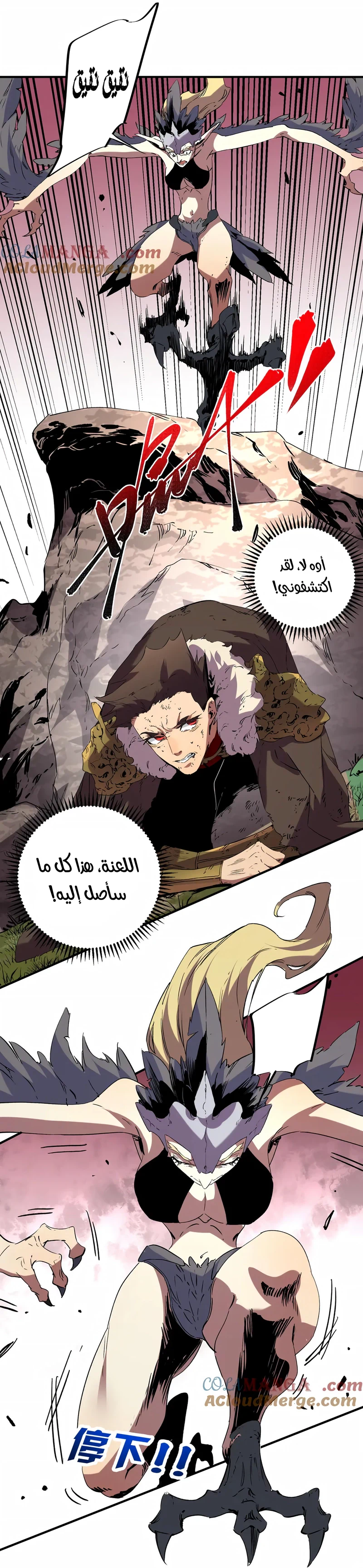 Chapter Image 6