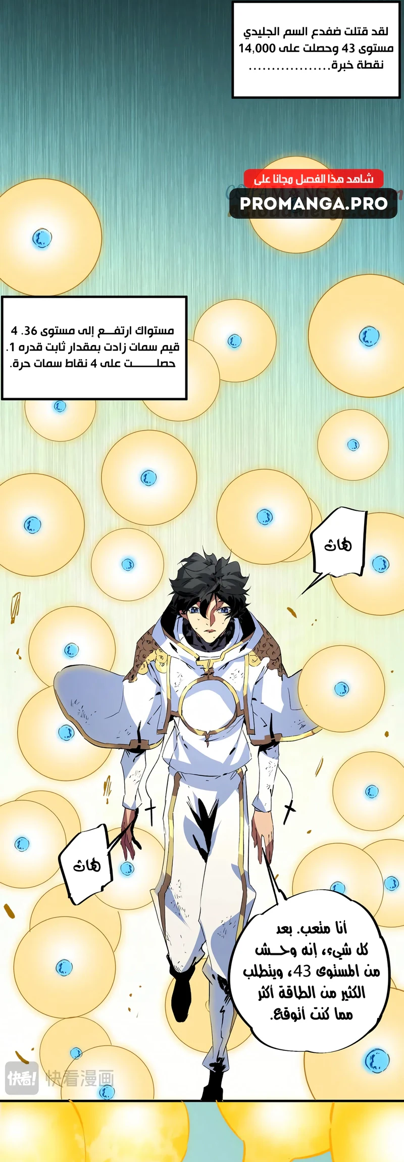 Chapter Image 7