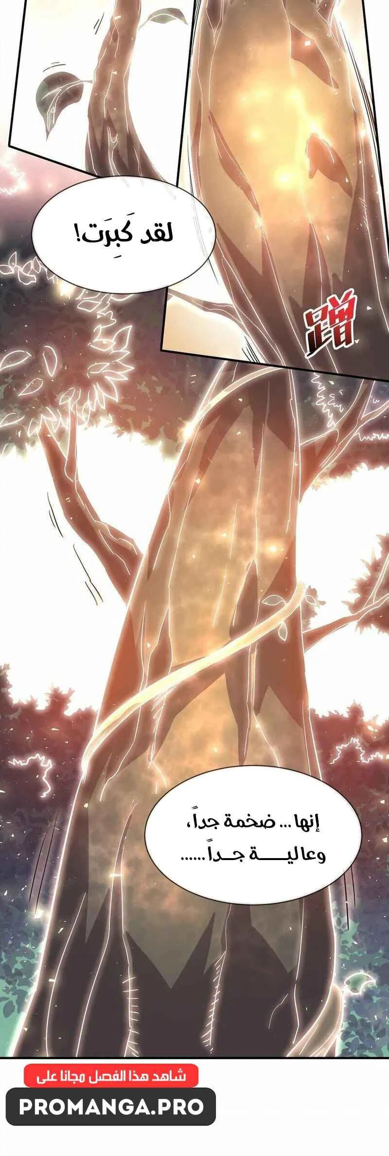 Chapter Image 2