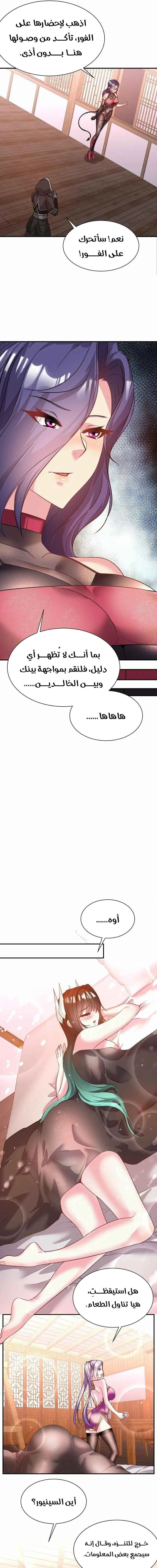 Chapter Image 5