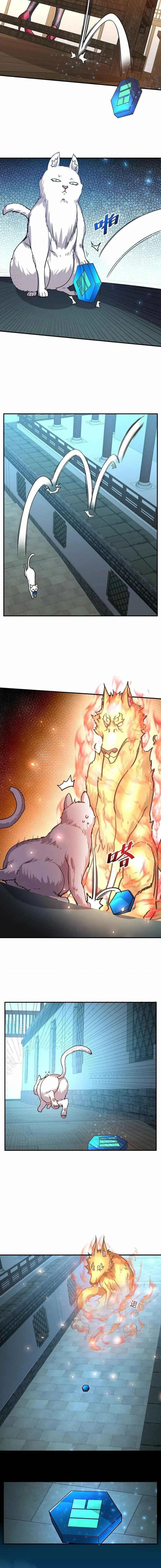 Chapter Image 6