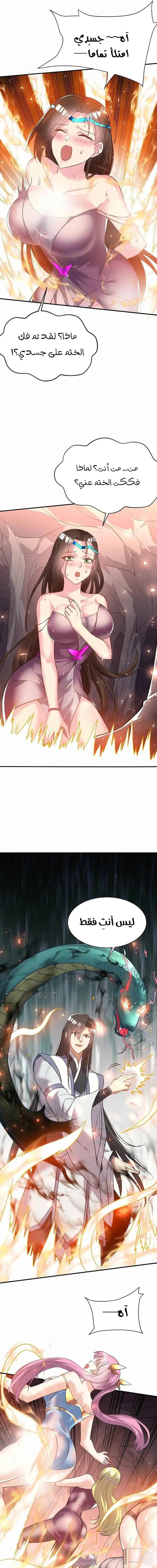 Chapter Image 5