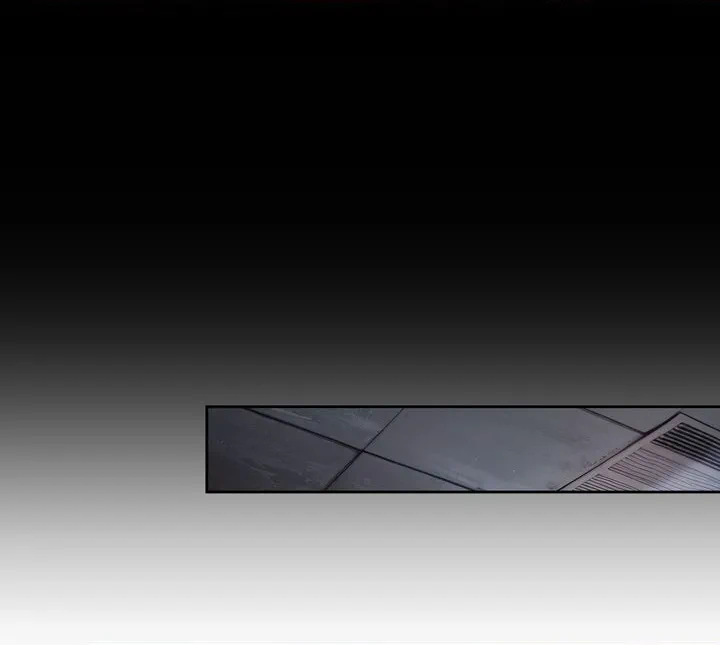 Chapter Image 13