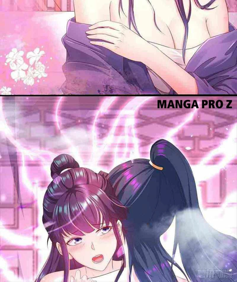 Chapter Image 3