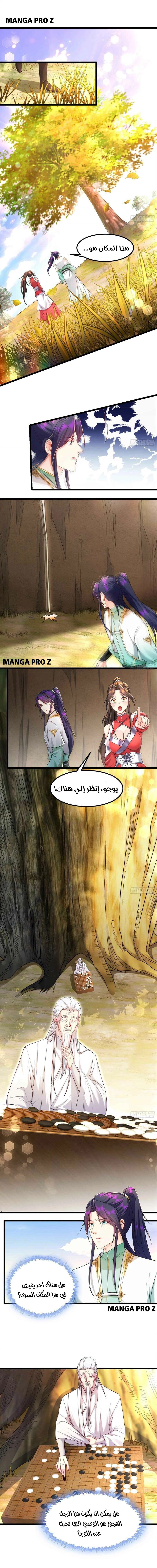 Chapter Image 4