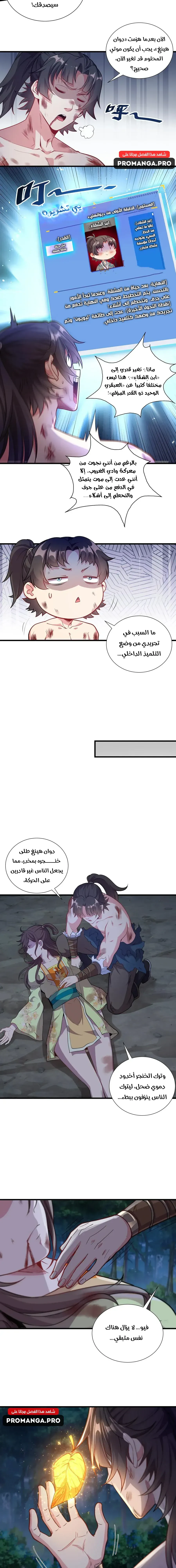 Chapter Image 5