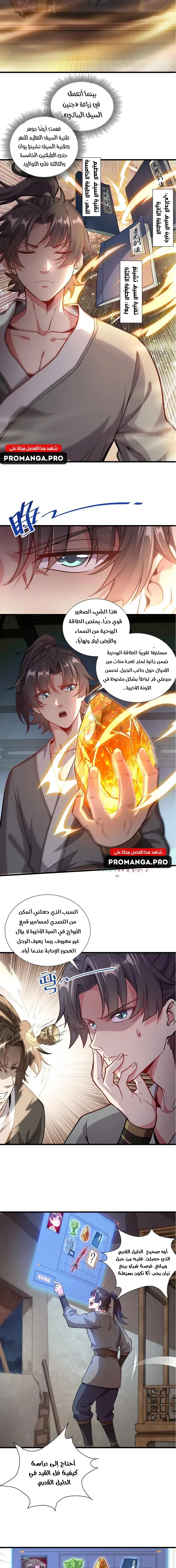 Chapter Image 5