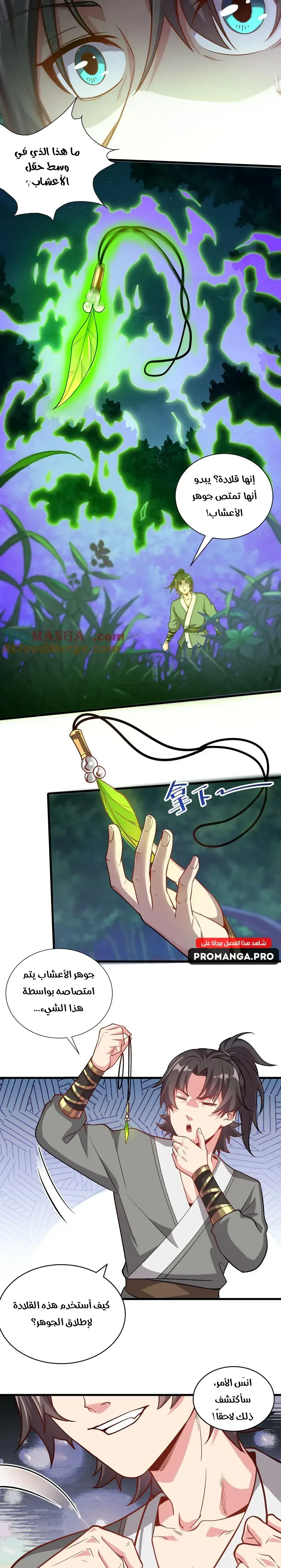 Chapter Image 4