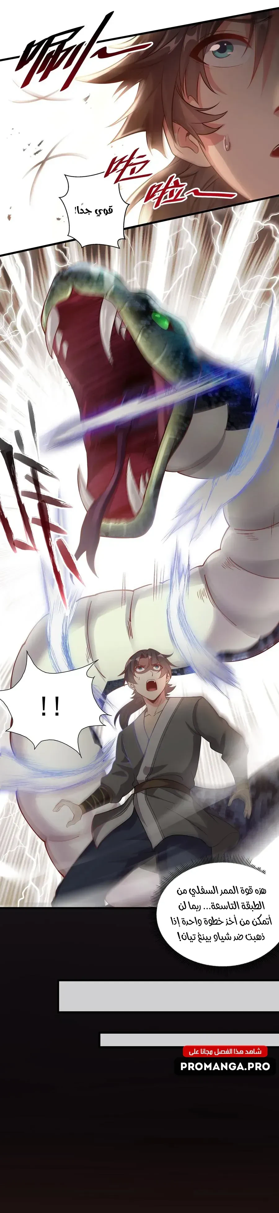 Chapter Image 2
