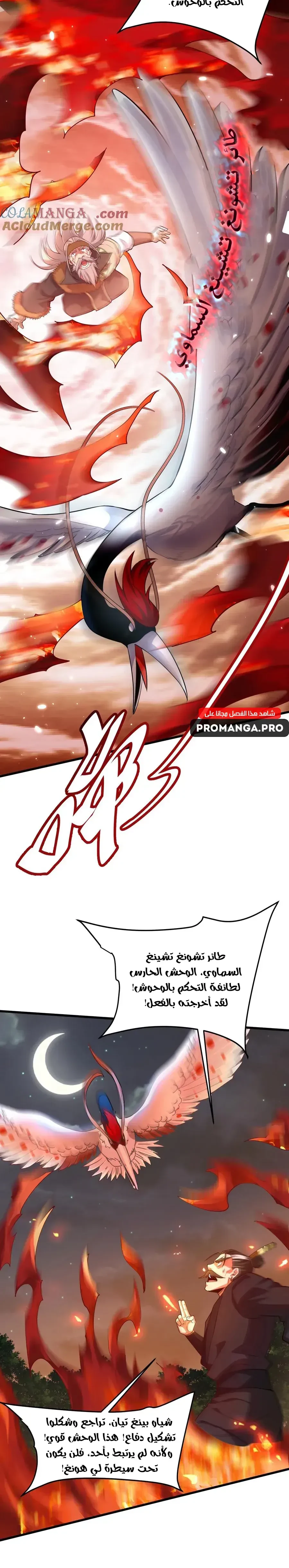 Chapter Image 10