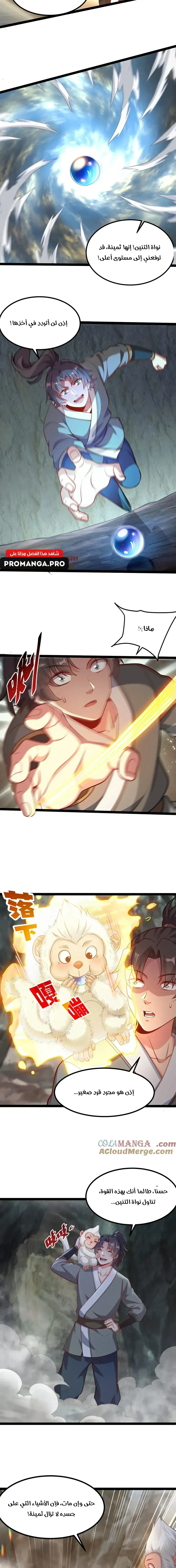 Chapter Image 17