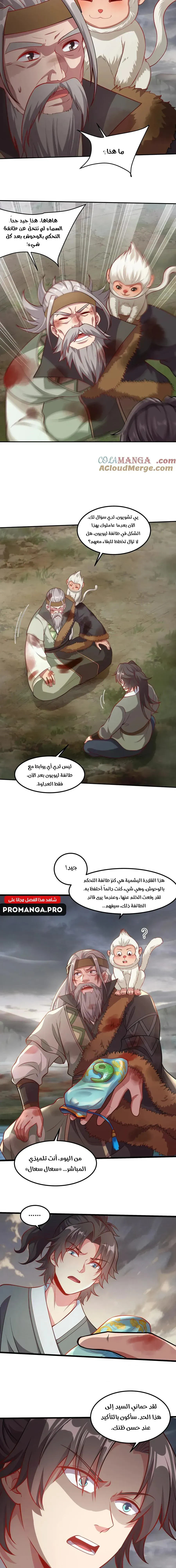 Chapter Image 5