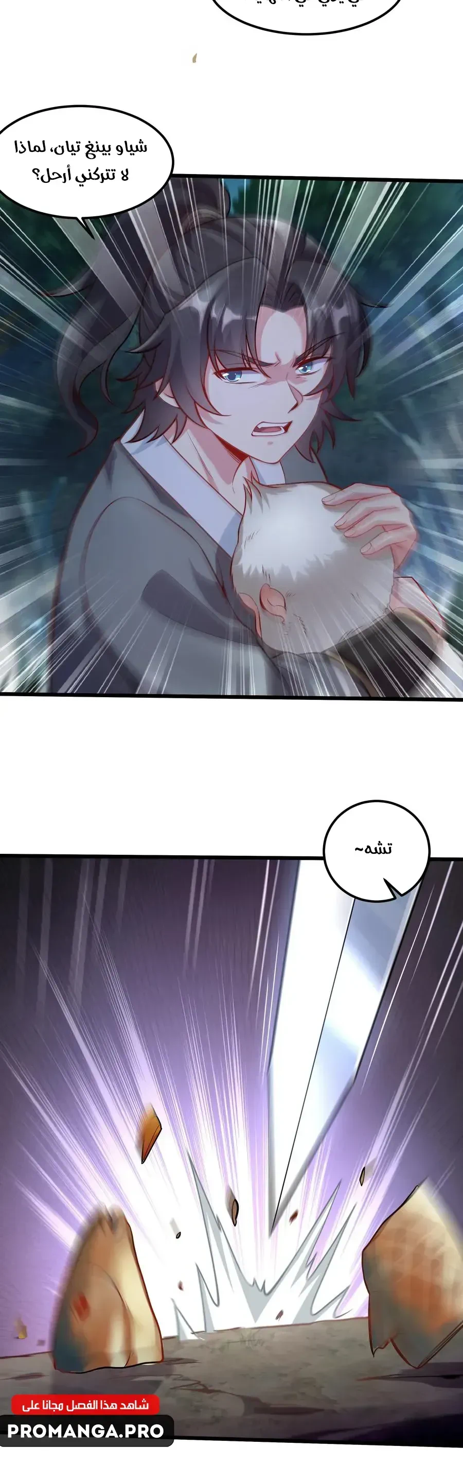 Chapter Image 10