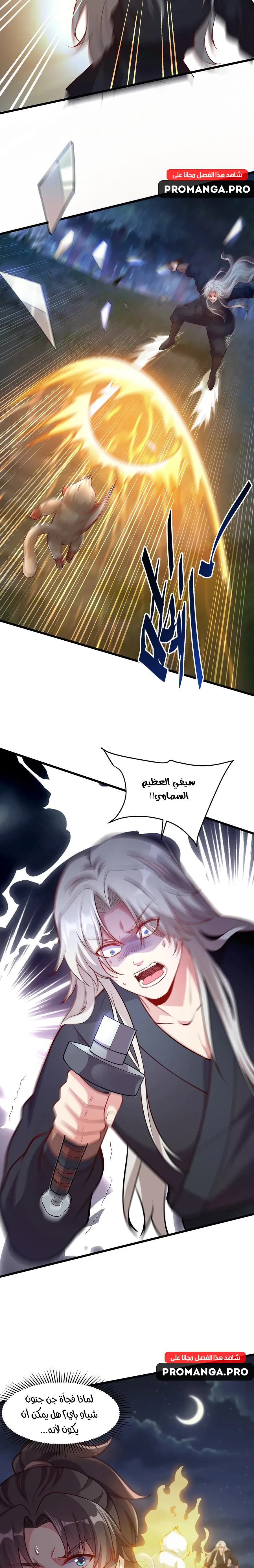 Chapter Image 13