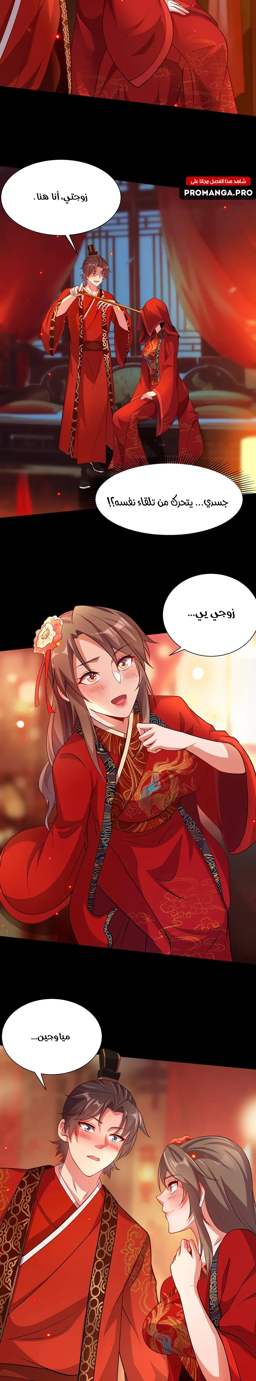 Chapter Image 13