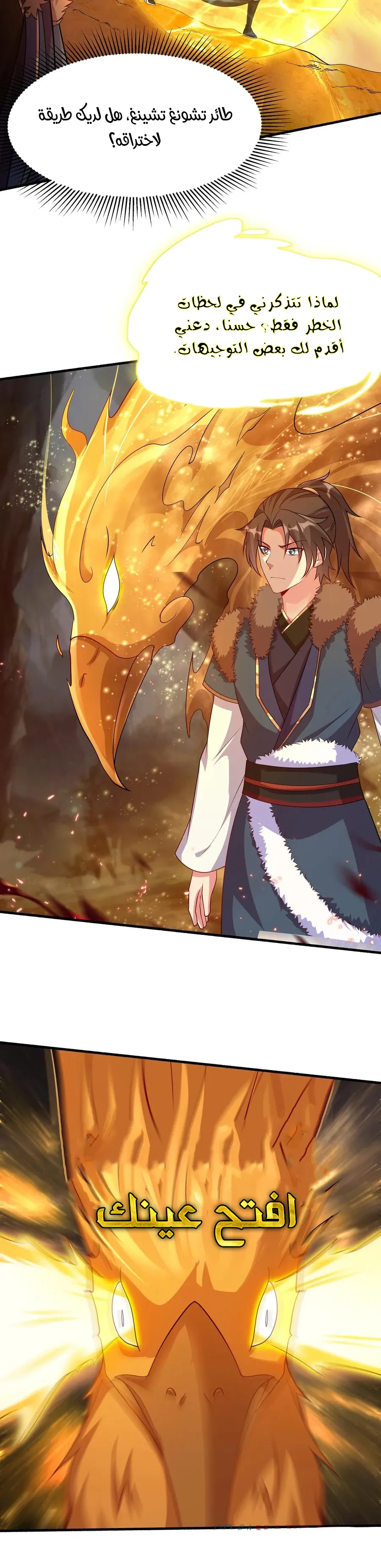 Chapter Image 11