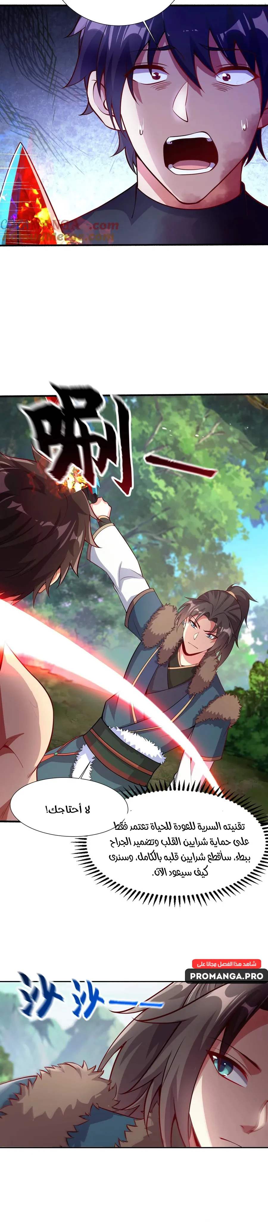 Chapter Image 8