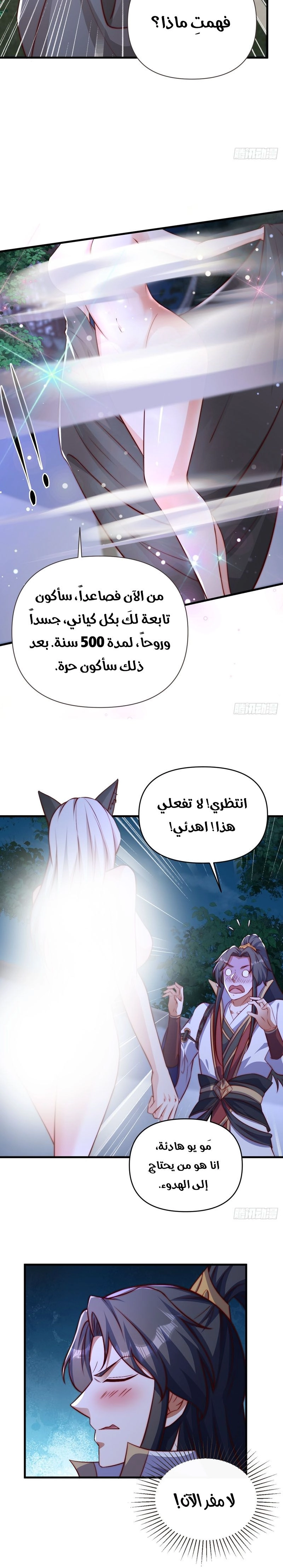 Chapter Image 4