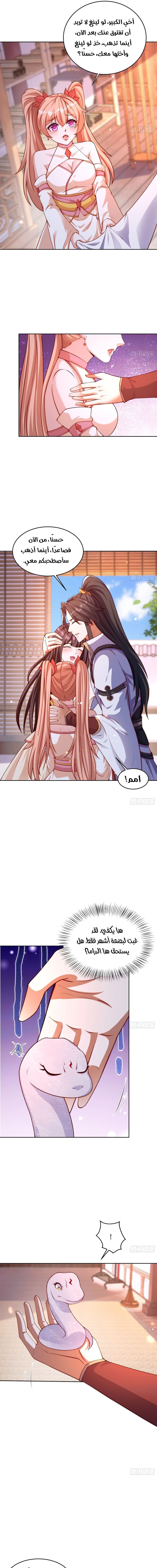 Chapter Image 5