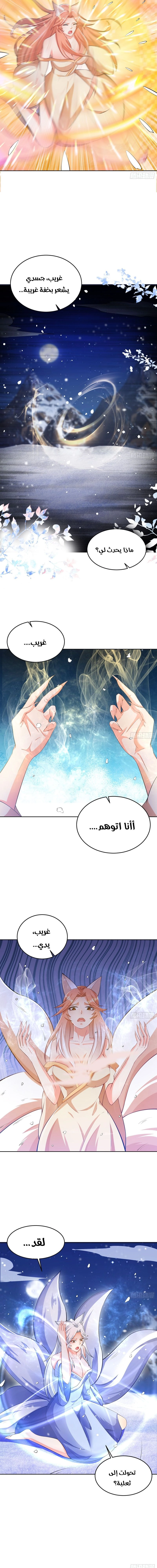 Chapter Image 9