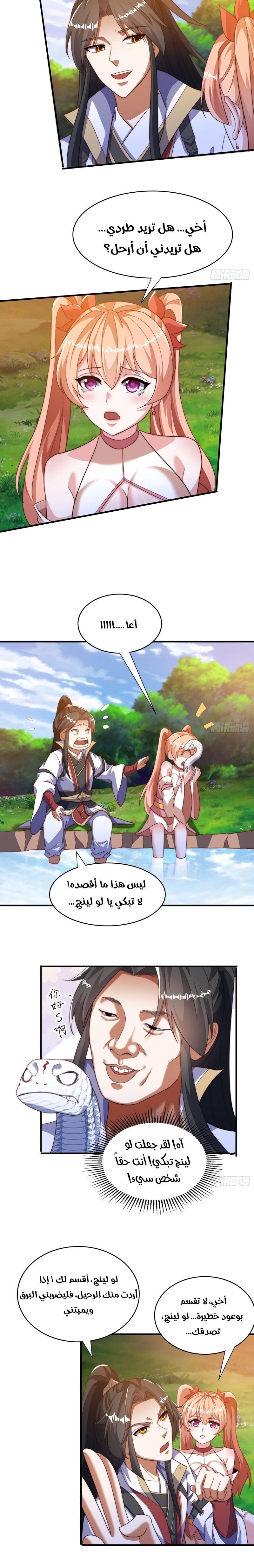 Chapter Image 4