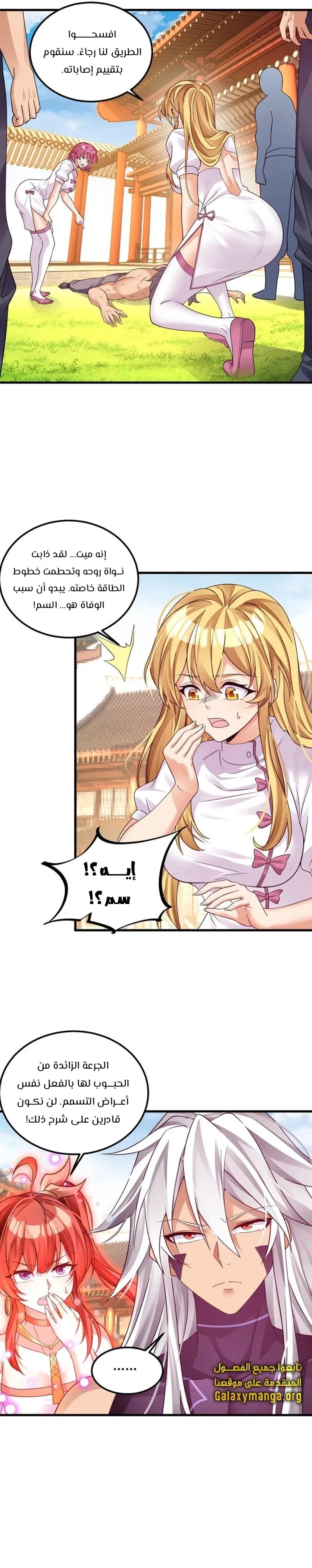 Chapter Image 5